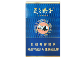 壁挂炉室外烟道遮丑